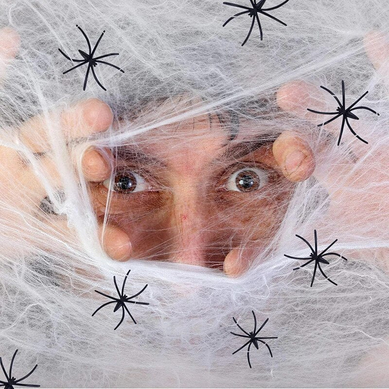 Artificial Spider Web